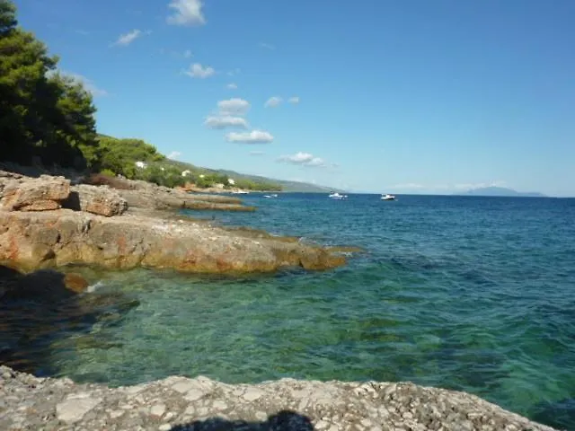 Orange Апартаменты *